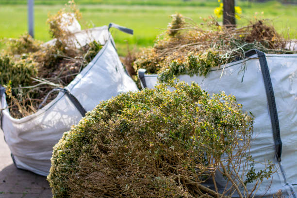 Best Household Junk Removal  in Vandalia, IL